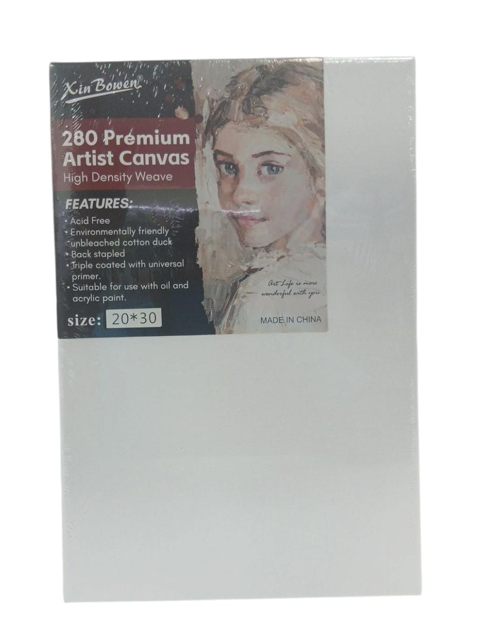 ARTICULO PARA PINTAR 20X30cm C