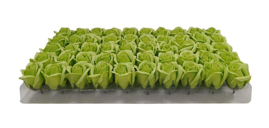 ROSA BOTON 50/1  VERDE 6.5 cm