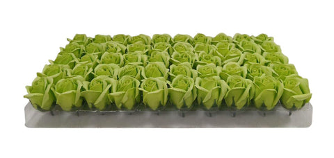 ROSA BOTON 50/1  VERDE 6.5 cm