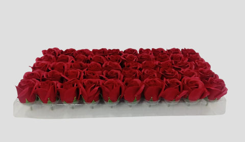 ROSA BOTON 50/1  ROJO VINO  6.