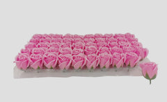 ROSA BOTON  50/1 ROSADO  6.5cm